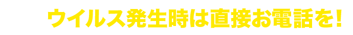 仮見積