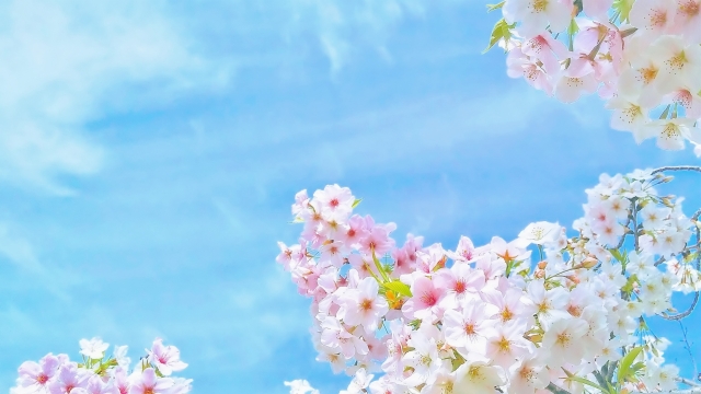 Q:なぜ春から対策をするの?