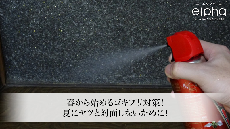 春から始めるゴキブリ対策！夏にヤツと対面しないために！